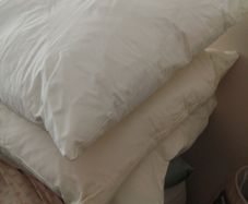 New three large cushion Feather fillers