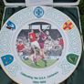 GAA centenary plate Image 3
