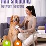 NEW SALE | Dog Grooming Vacuum Kit,Suction 99% Pet Hair,Dog Grooming Brush,Dog Hair Vacuum Groomer with 4 Pet Grooming Tools,Pet Hair Remover Image 2