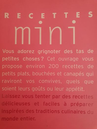 Recettes Mini Marabout 380 pages of RECIPES