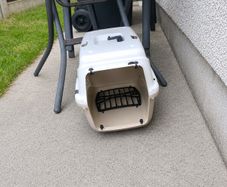 cat box