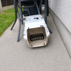 cat box