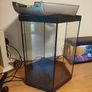 Hexagon Fish Tank for Free Image 6