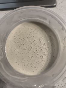 sourdough starter