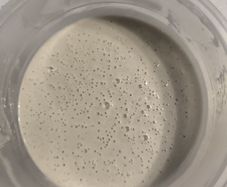 sourdough starter