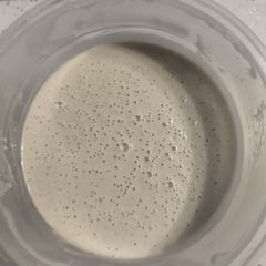 sourdough starter