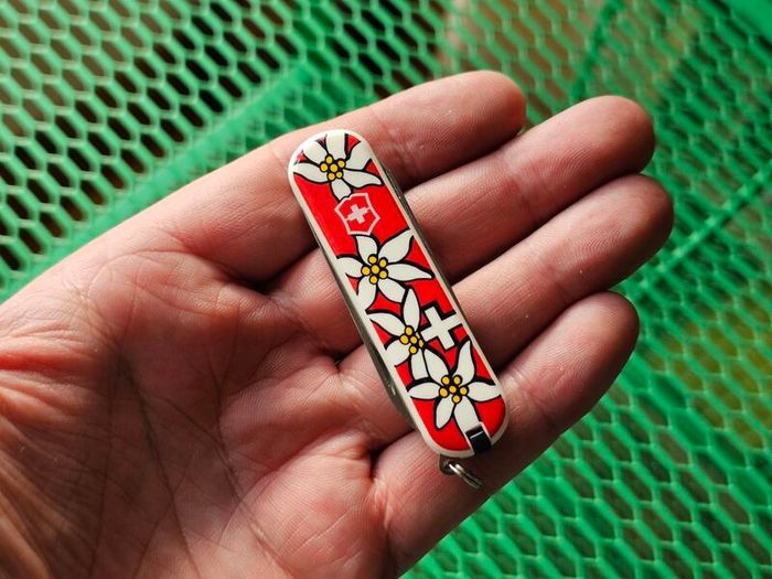 Vintage Wenger Esquire 65mm Swiss Army Knife Discontinued Collectable with Modern Delemont Victorinox Scales