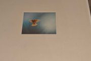 Phil Coulter, Peace and Tranquility G/F LP Irish composer
