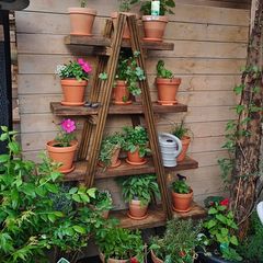 Rustic Wooden Ladder Plant Stand, Handmade