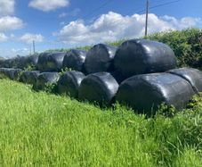 Bales of Silage