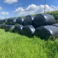 Bales of Silage