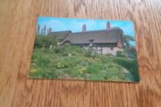 Vintage Postcard for Sale