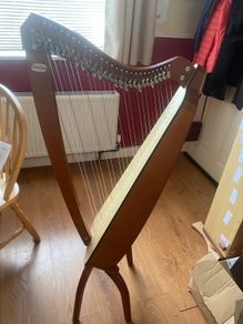 Camac odyssey 27 string harp