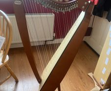 Camac odyssey 27 string harp