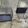 Dog Run & Transport Cages Image 7