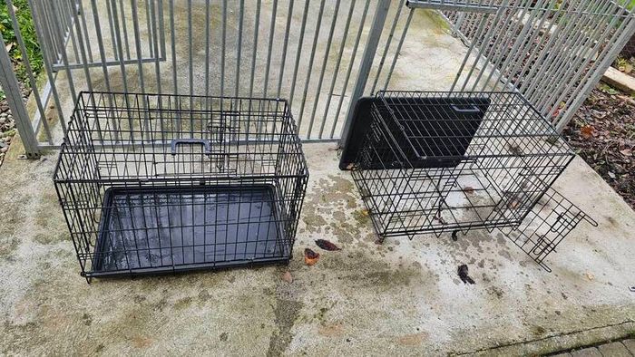 Dog Run with insulated kennell & Transport Cages