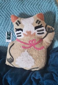 Decorative Cat Cushion