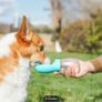 Premium dog travel water bottle Image 3