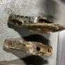 Digging bucket teeth Image 4