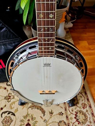 Tanglewood TWB USA 5 Cove Creek Banjo