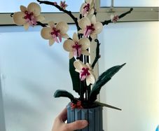 lego orchid