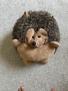 Toy Hedgehog