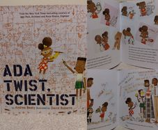 Ada Twist Scientist Hardback Book By Andrea Beaty