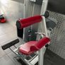 Back extension machine Image 3