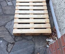 wooden palette