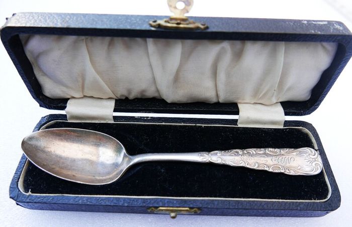 Vintage silver-plated  1847 Rogers Bros in Vintage Case