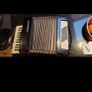 acordeon weltmeister Image 2