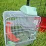 Cage for hamsters and mice Image 3