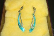 silver earrings