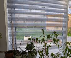 155.8cm Venetian wooden blind Pebble Grey Wooden Blind - 35mm Slat