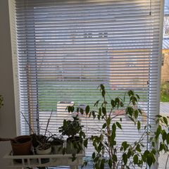 155.8cm Venetian wooden blind Pebble Grey Wooden Blind - 35mm Slat