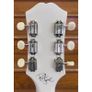 Epiphone les Image 2