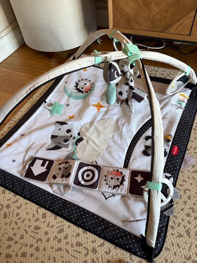 Tiny Love play gym