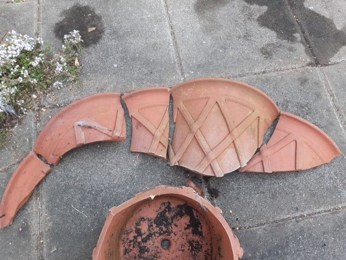 terracotta pot (broken)