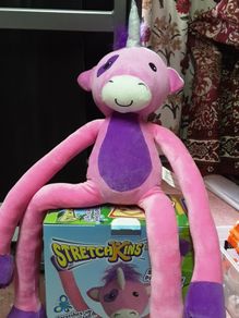 Toy