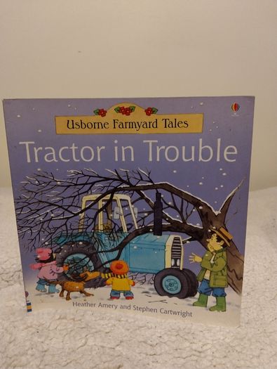 Usborne Early Reader Story Books