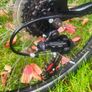 Ladies 26" Bicycle Image 4