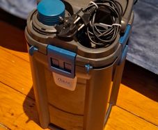 Oase BioMaster Thermo 600