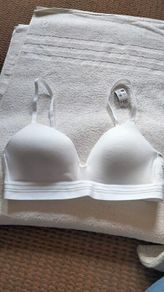 White Lounge Bra 32c