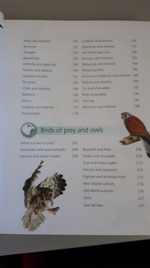 birds book