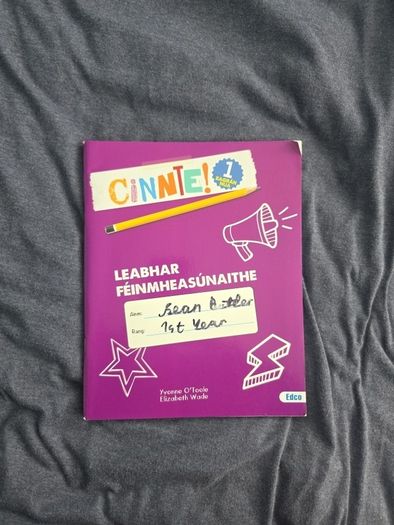 Cinnte! 1 Eagran Nua Leabhar Feinmheasunaithe (Workbook)