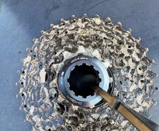 shimano road bike cassette