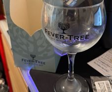 Fever Tree Branded Cocktail/Gin Glasses