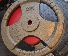 20kg standard weight plate