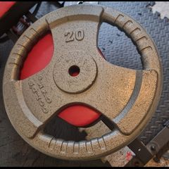 20kg standard weight plate