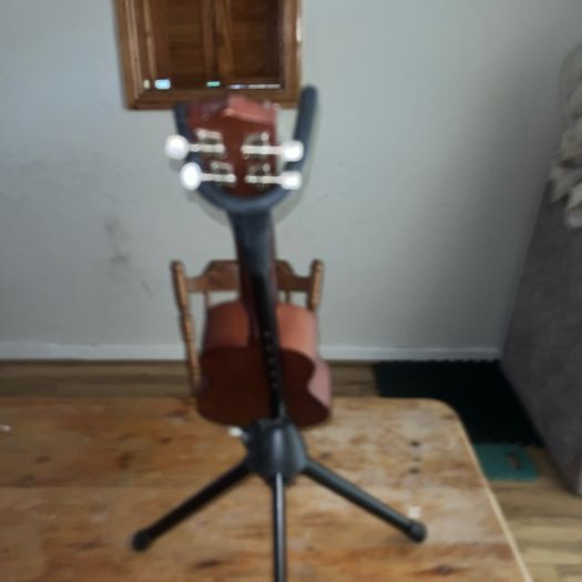 Guitars
